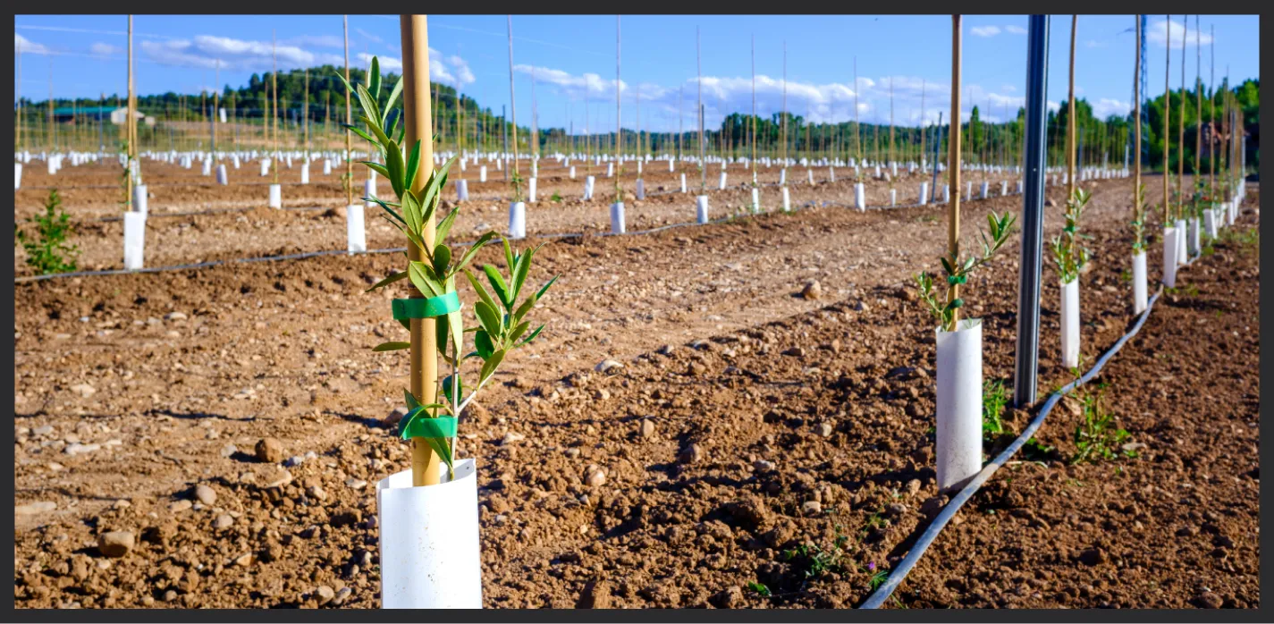 Agricultural Irrigation Services Agricultural Irrigation Services